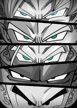 DBZ Eyes Heroes BW