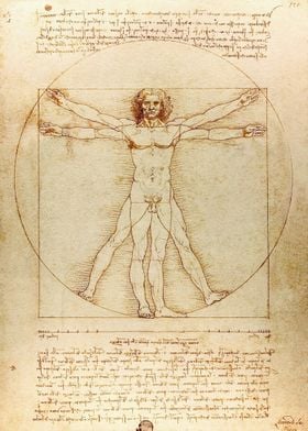 Master Collection-preview-3