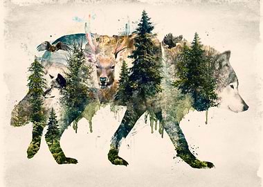 Another in my nature series of natural flora and fauna ...