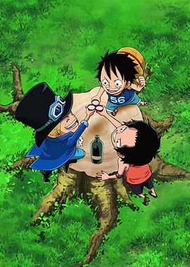 Luffy, Sabo and Ace toast